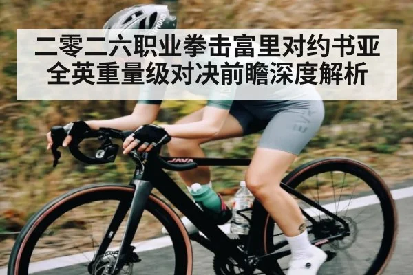 二零二六职业拳击富里对约书亚全英重量级对决前瞻深度解析